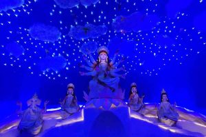 Kolkata Durga Puja 2024: Save nature Save life, unique theme of Hazra Balak Sangha