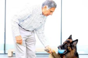 In Ratan Tata's will, share not just for siblings but dog Tito and butler too