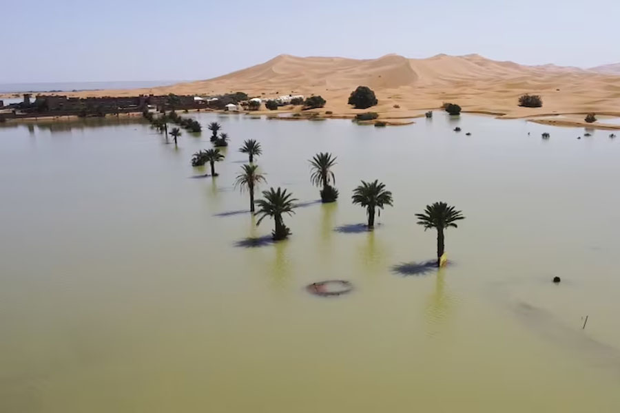 Rare rain floods Sahara Desert, dry lake filled for first time in 50 years