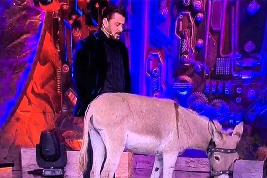 PETA requests Salman Khan’s intervention over donkey in the controversial house