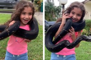 Viral Video of Little Girl Wraps A Giant Snake Around Her Neck Internet Slams