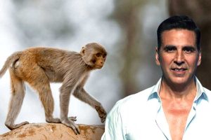 Akshay Kumar Donates ₹ 1 Crore To Feed Monkeys In Ayodhya