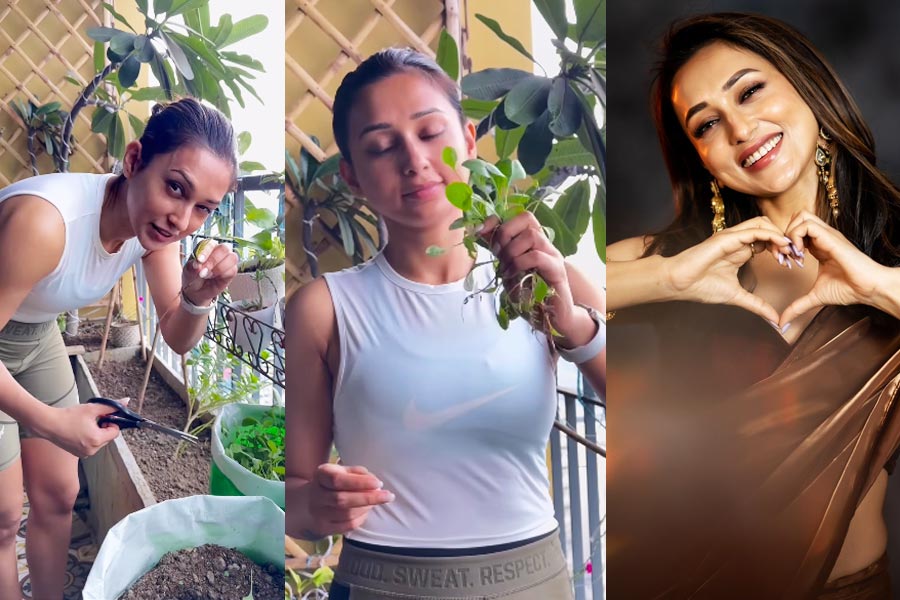 Mimi Chakraborty shares video from her Kitchen garden on Bhoot Chaturdashi 2024