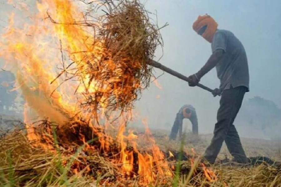 14 farmers arrested in Haryana for stubble burning