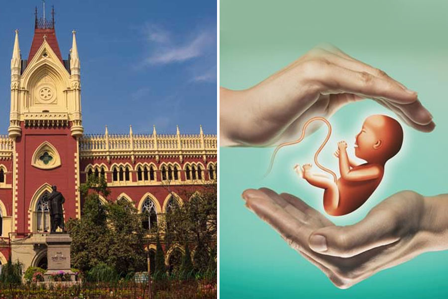 Bengal Couple approached Calcutta High Court to have rights for Test Tube Baby