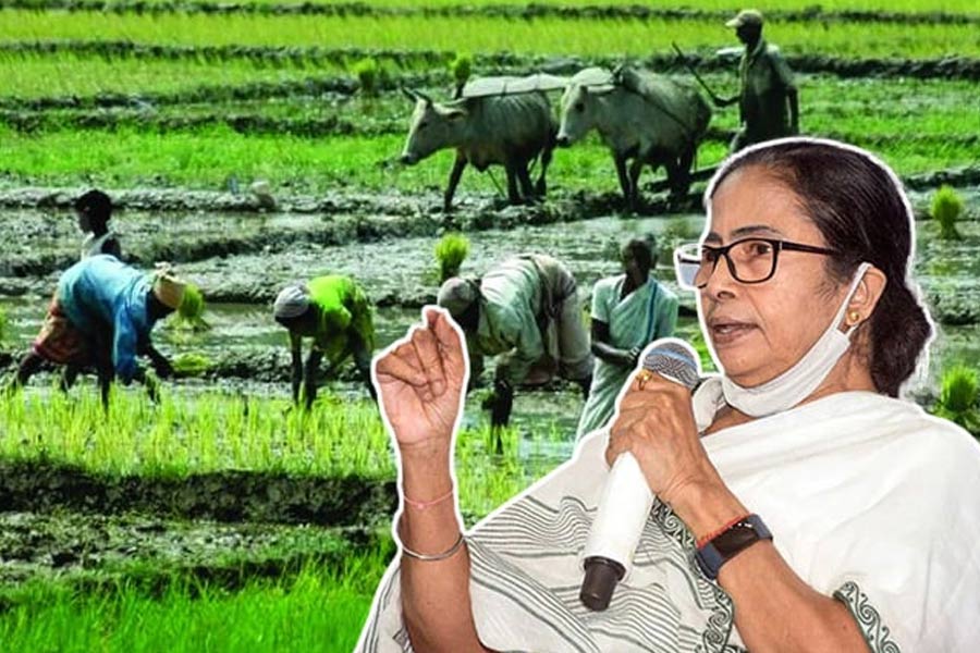 West Bengal Govt allots record amount to krisok bondhu scheme