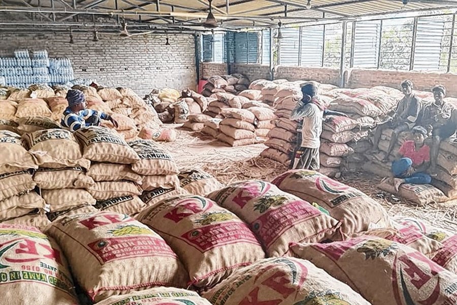 Potato farmers of Purba Bardhaman are facing problem of potato seeds in the market