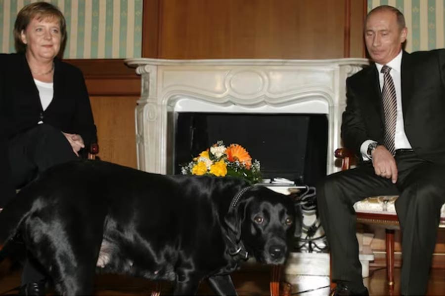 Putin denies he tried to scare ex-German Chancellor with dog