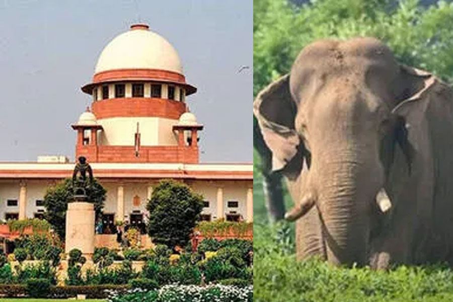 Supreme Court seeks report from Bengal Govt on jumbo scare