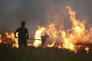 Centre doubles penalties for stubble burning