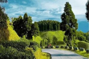 Offbeat Darjeeling tour in Dhayatar Gaon