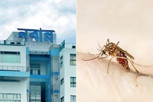 Dengue situation in West Bengal gets worsen inspite of Nabanna issues allert frequently