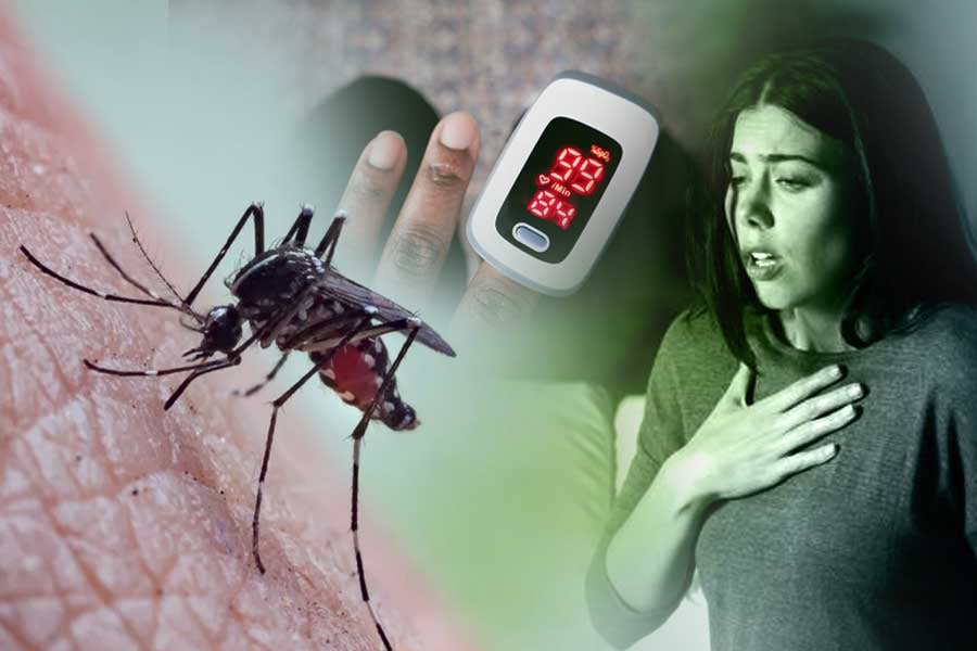 Severe dengue fever can damage the lungs, liver or heart, says doctor