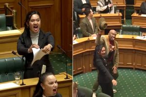 new-zealand-mp-start-traditional-dance-to-protest-on-new-bill