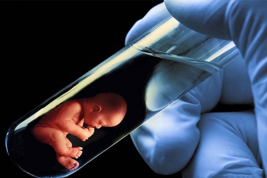 Calcutta High Court allowed the couple to have a test tube baby