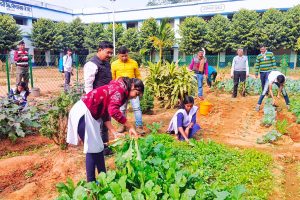 Students and teachers of Bishnupur school are farming vegetables