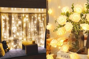 Winter House party Decor WITH LIGHT tips