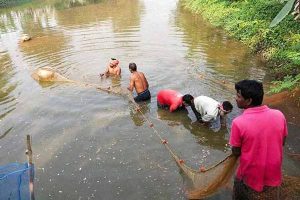 Fisheries department take special initiatives to preserve fish