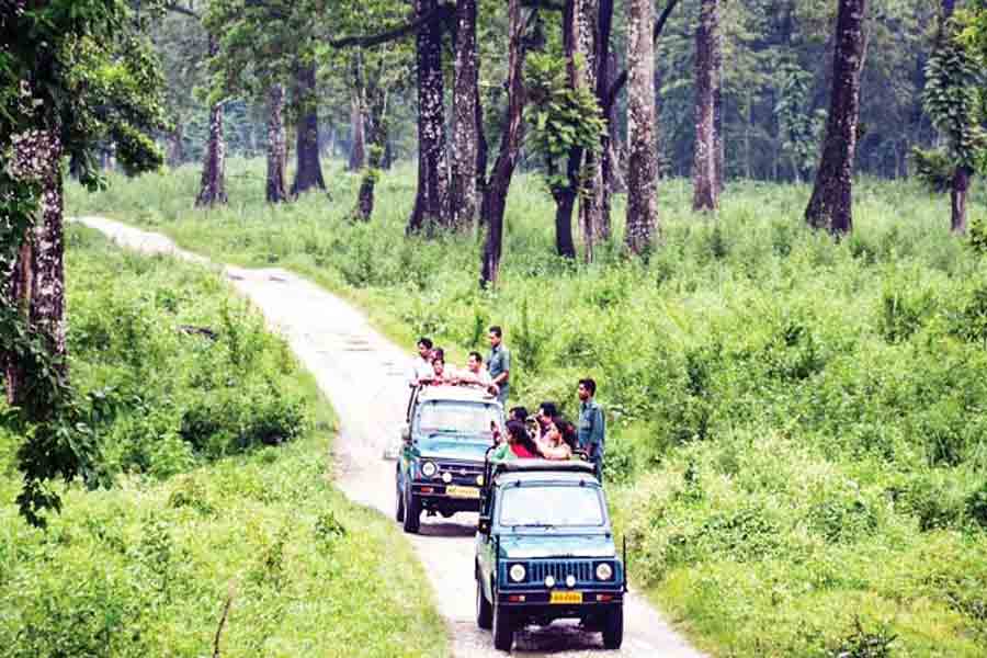 Jeep Safari route in Gorumara National Park will extend in New Year