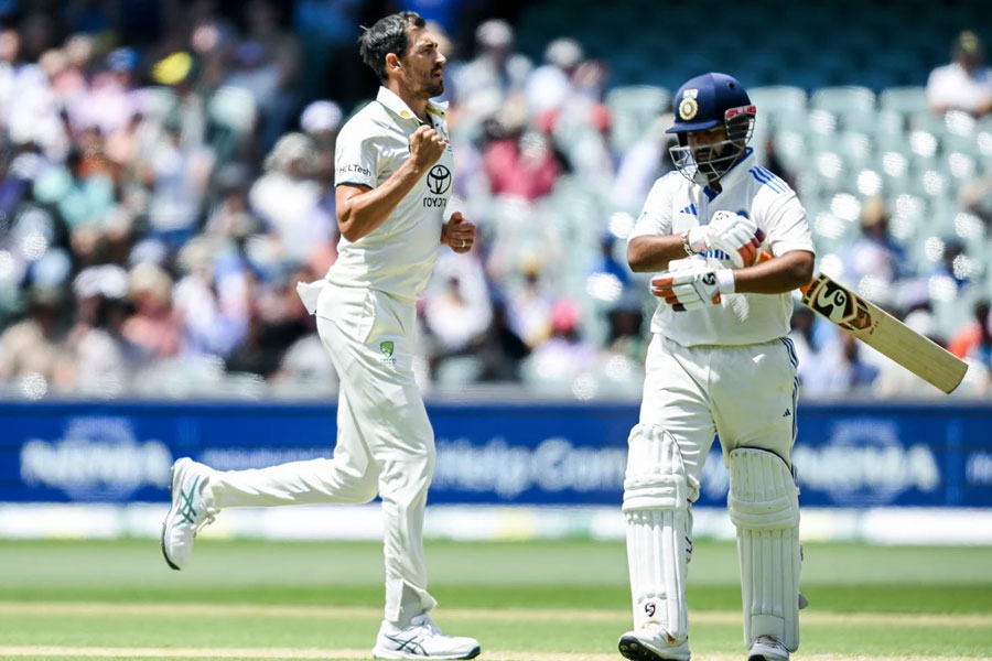 Border Gavaskar Trophy: India lost against Australia in Adelaide test