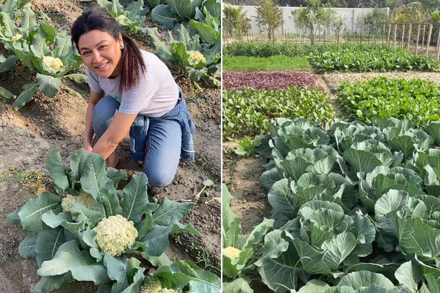 Actress Jaya Ahsan shared video of her farming