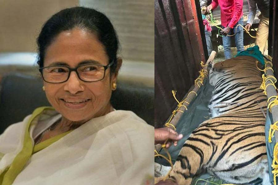 Mamata Banerjee praises Forest officers