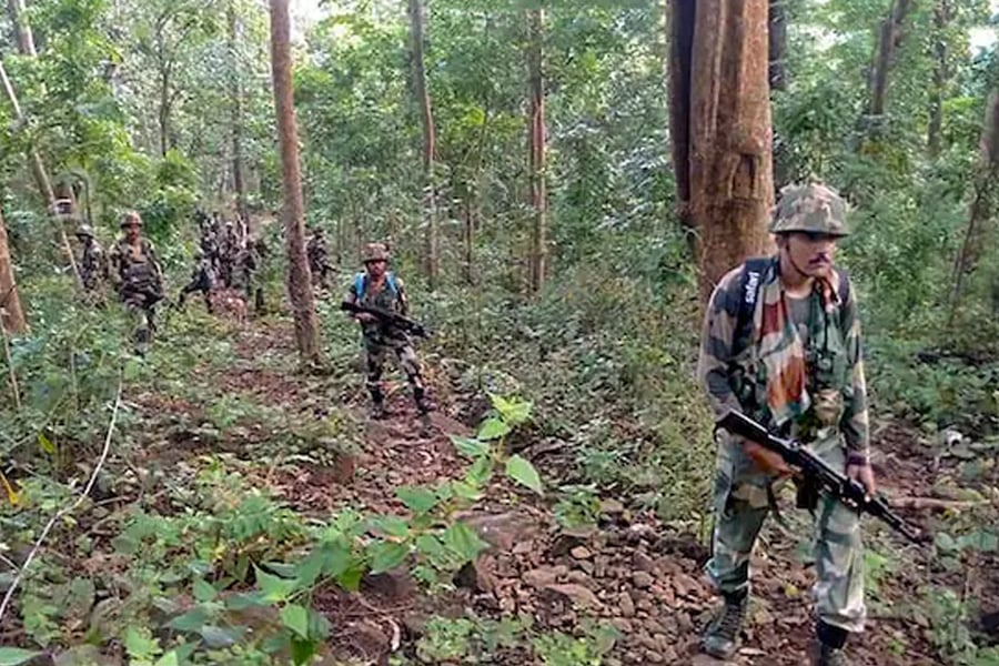 7 Maoists Killed In Encounter In Chhattisgarh Forest