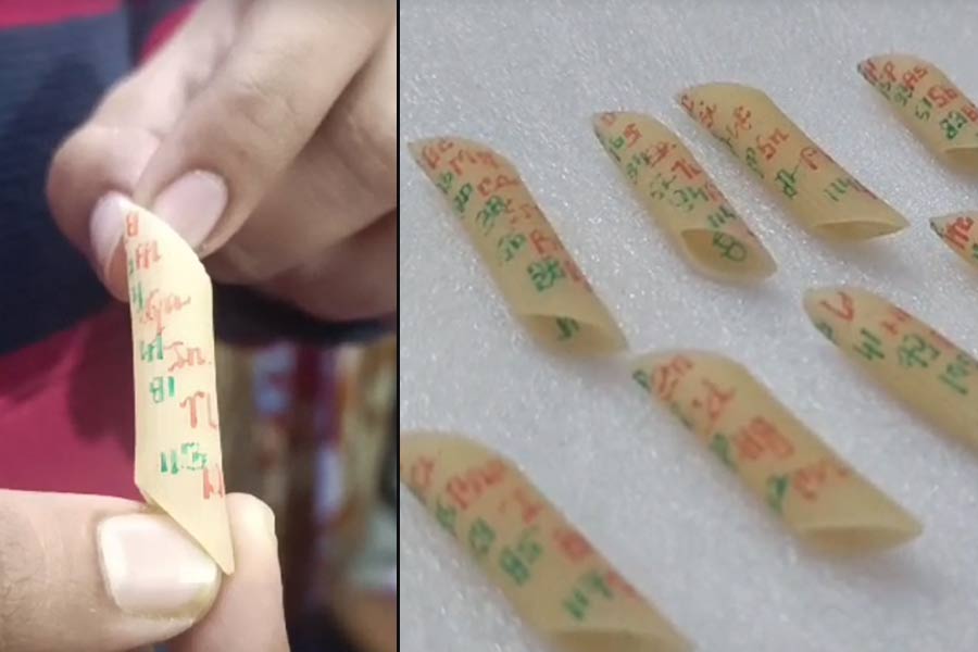 Offbeat News: Student of Chemistry makes emblem on Pasta and creats record in India book of Records