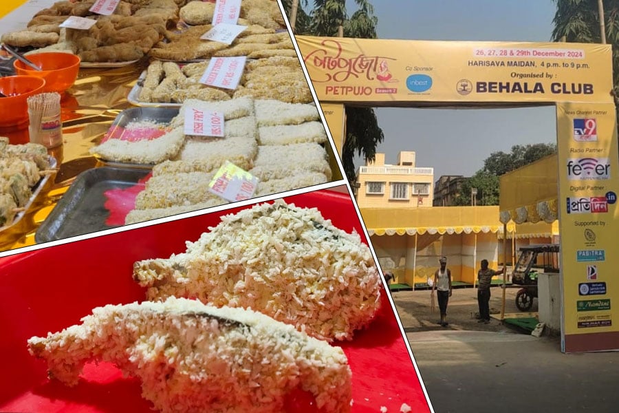 Petpujo Mela at Behala Harishava Maidan