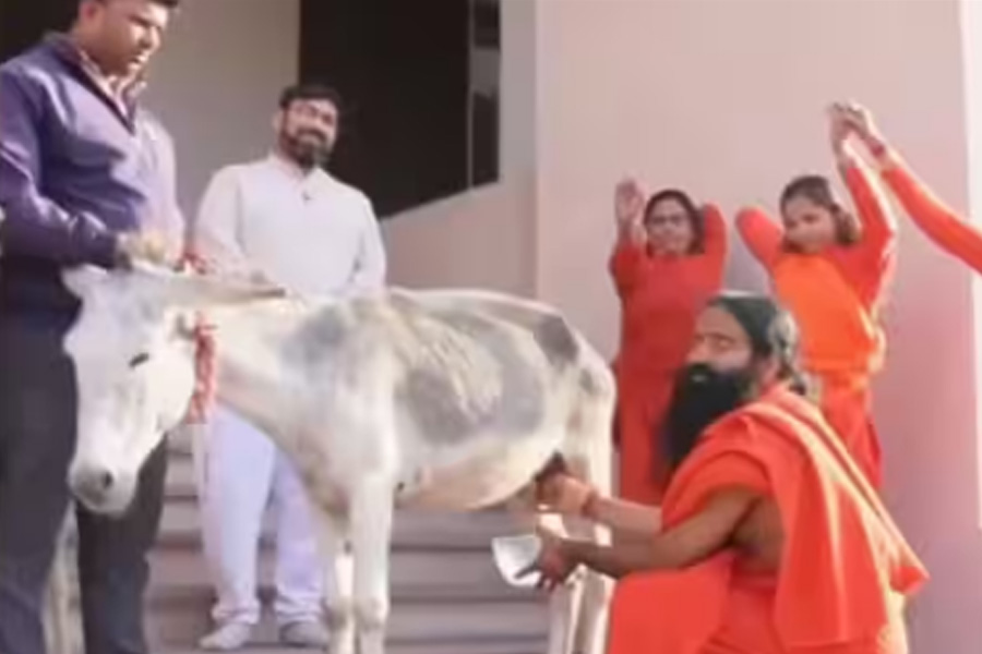 Baba Ramdev Drinks Donkey Milk