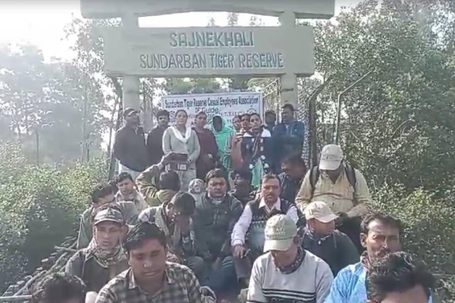 Sundarban guides protest