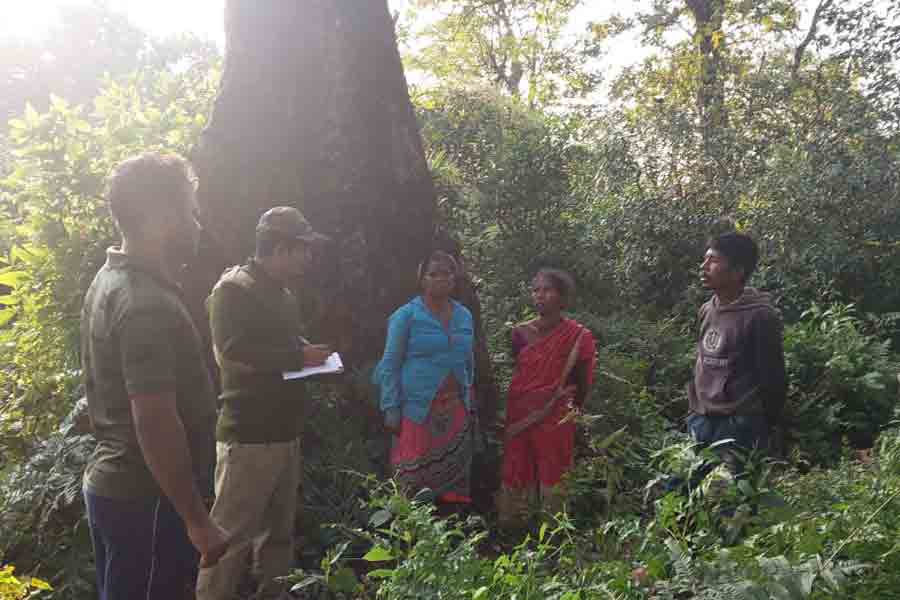 TMC-BJP clash over elephant attack in Alipurduar