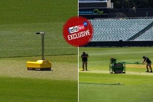 Border Gavaskar Trophy: curators are working to prepare Adelaide Oval pitch 'behind closed doors'