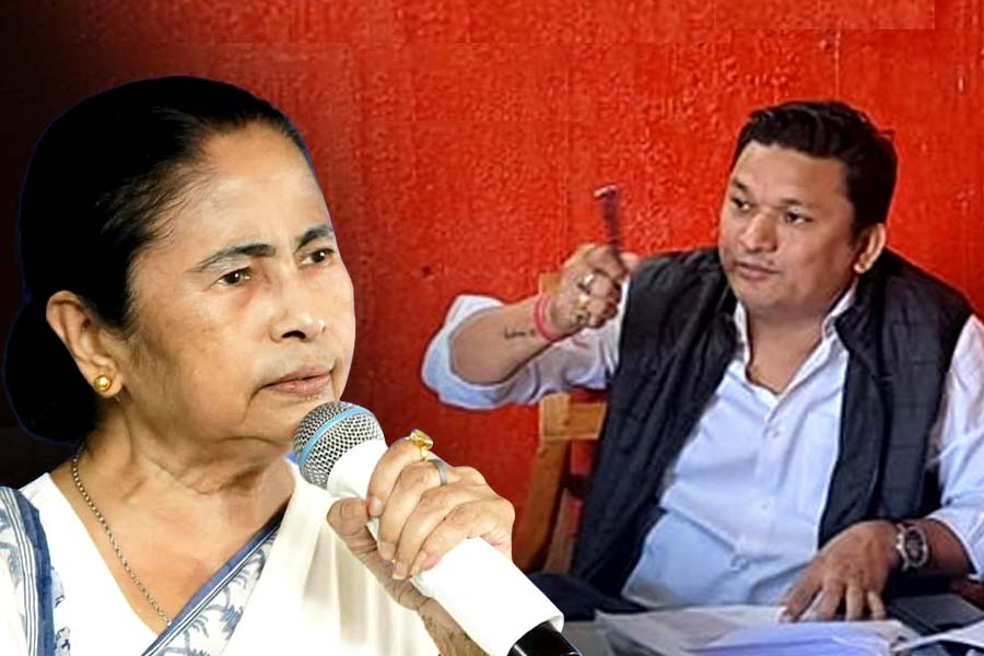 CM Mamata Banerjee stops BJP MLA Bishal Lama from saying 'untruth' on tea garden