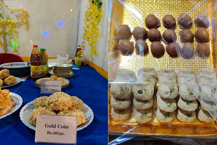 Petpujo Mela at Behala Harishava Maidan