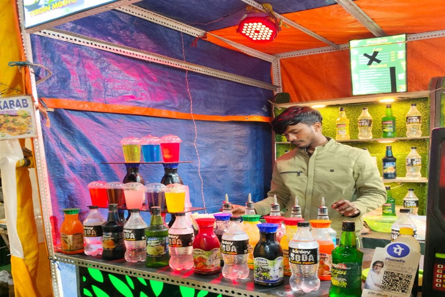 Petpujo Mela at Behala Harishava Maidan