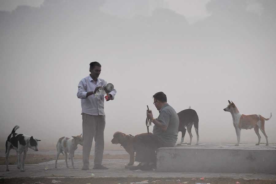 WB Weather Update: MeT predicts temperature will be dropped in Kolkata and adjacent area