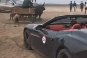 Ferrari stuck in beach sand rescued by a bullock cart in Maharashtra