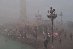 360 flights hit in Delhi amid fog in North India