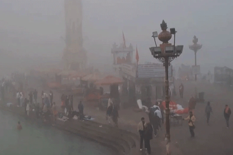 360 flights hit in Delhi amid fog in North India