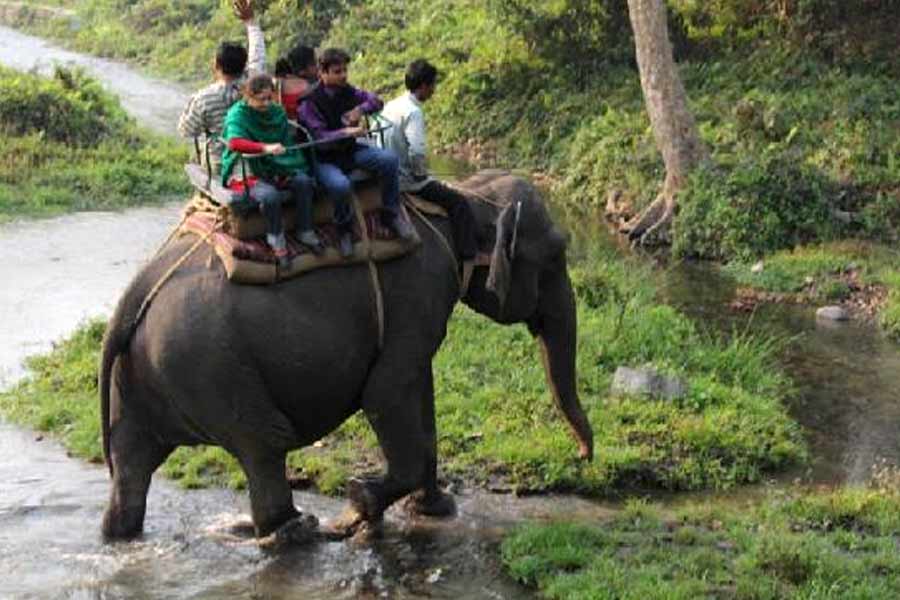 Elephant safari temporarily closed in Bengal Safari Park