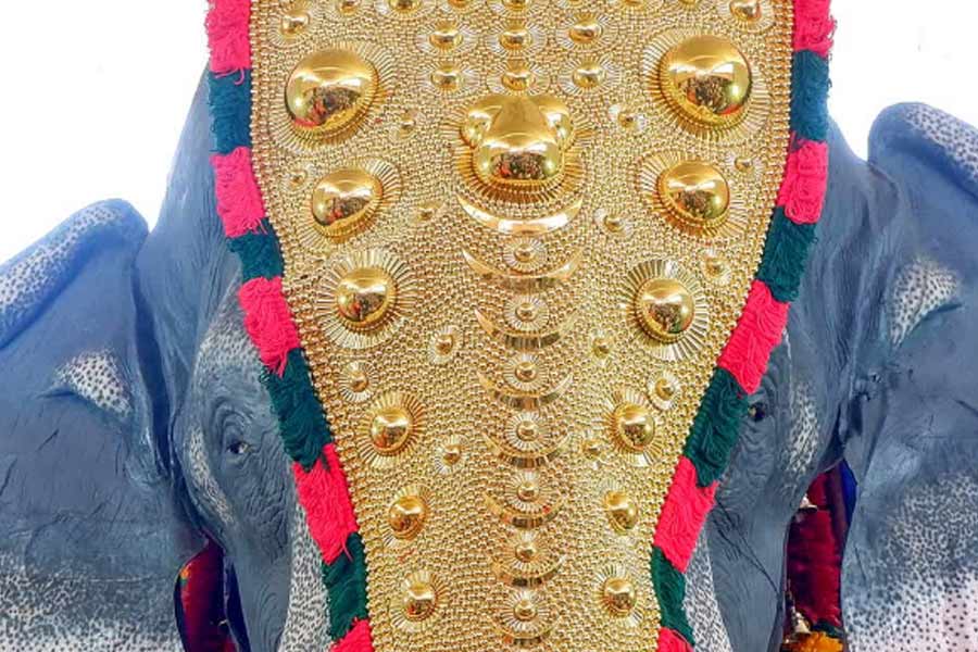 Elephant ragdolls man at Kerala festival