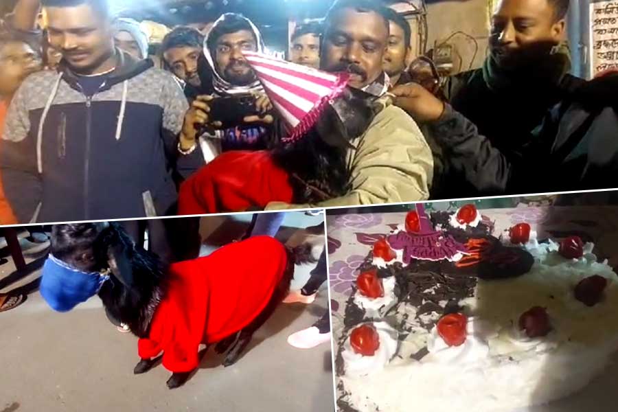 Hooghly youth celebrates goat's birthday