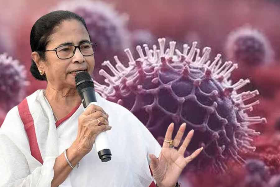 WB CM Mamata Banerjee speaks over HMPV