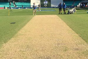 Border Gavaskar Trophy: SCG curator shares first update on pitch for fifth IND vs AUS Test