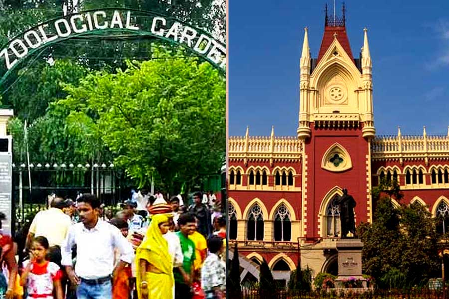 Calcutta HC allows BJP rally against privatization of Alipore zoo