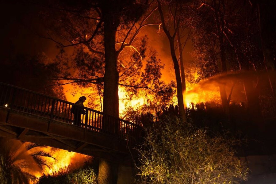 Hollywood stars lost their homes due to Huge wildfire