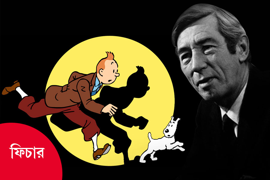 Why is there so much controversy about Tintin