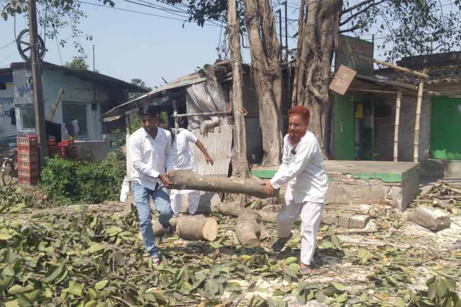 Local residents prevent tree cutting in Dankuni