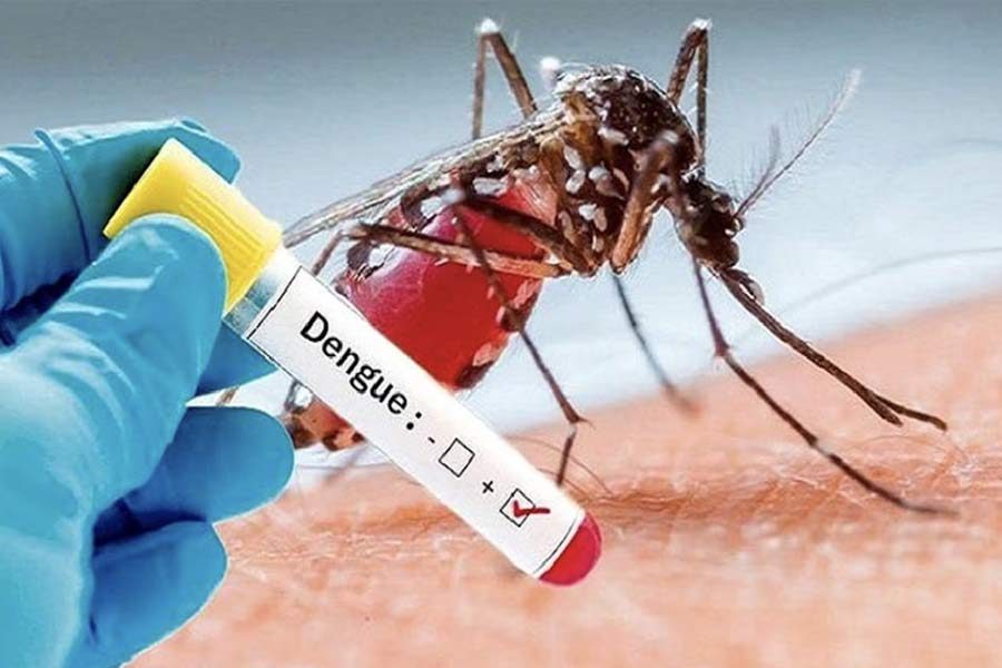 India expected to first indigenous dengue vaccine by next year
